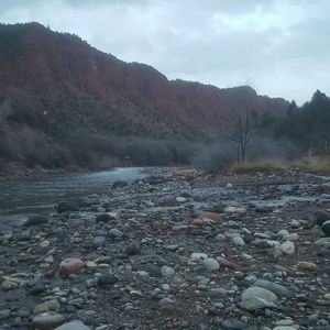 Meet your Posher, Steven